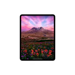 IPad Pro M4 13 512 5G